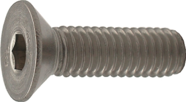 Afbeelding - https-www-ez-catalog-nl-Asset-ba828dcab28441f888e9ed29382f7413-ImageFullSize-5527318-jpg